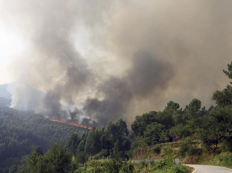 Penampakan Kepulan Asap Kebakaran Hutan di Portugal