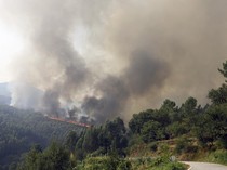 Penampakan Kepulan Asap Kebakaran Hutan di Portugal