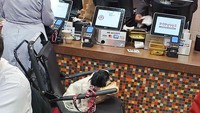 Salah satu pelanggan yang terjebak pada antrean kasir mengabadikan momen ini. Ada wanita yang santai menghadang kasir dengan kereta anjingnya. Foto: Bored Panda