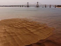Potret Sungai Terpanjang Kedua di Amerika Selatan Mengering