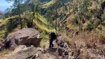 Selamat Datang di Jurassic Parknya Gunung Rinjani