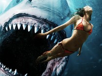 Sinopsis Film Shark Bait, Kisah Mencekam di Laut Lepas