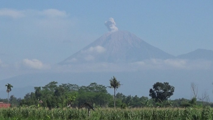 Gunung Semeru Erupsi