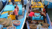 Sejumlah nelayan menyortir ikan saat bongkar muat di Pelabuhan Perikanan Samudera (PPS) Lampulo, Banda Aceh, Aceh, Sabtu (21/9/2024).