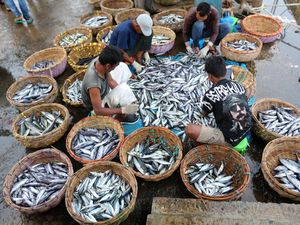 Harga Ikan di Aceh Merangkak Naik Imbas Cuaca Buruk