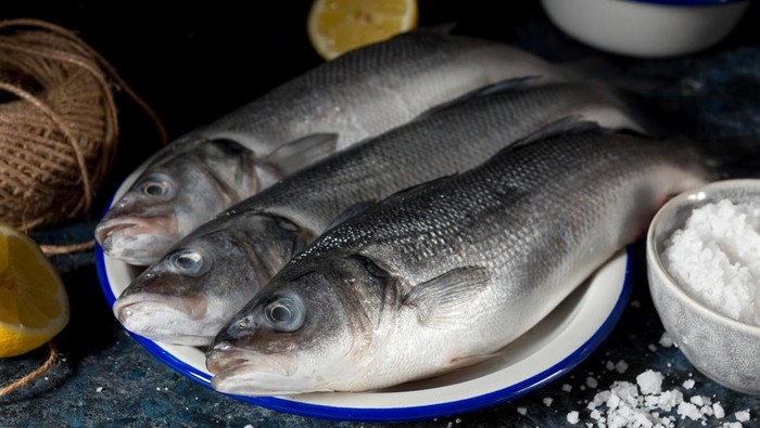 Ilustrasi ikan bandeng