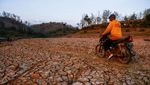 Musim Kemarau Bikin Waduk Bendo di Ponorogo Mengering