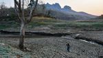 Musim Kemarau Bikin Waduk Bendo di Ponorogo Mengering