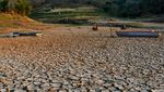 Musim Kemarau Bikin Waduk Bendo di Ponorogo Mengering