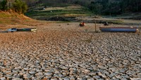 Sejak sebulan terakhir, waduk yang memiliki kapasitas volume sekitar 43 juta meter kubik air itu mengering.  