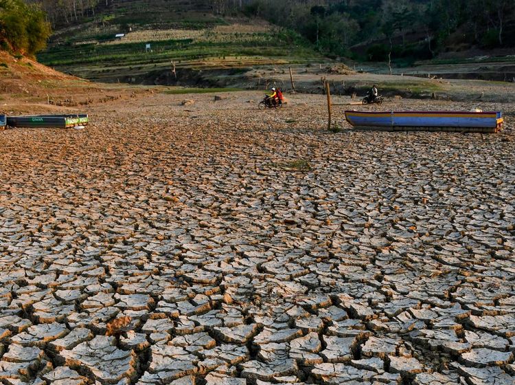 Musim Kemarau Bikin Waduk Bendo di Ponorogo Mengering