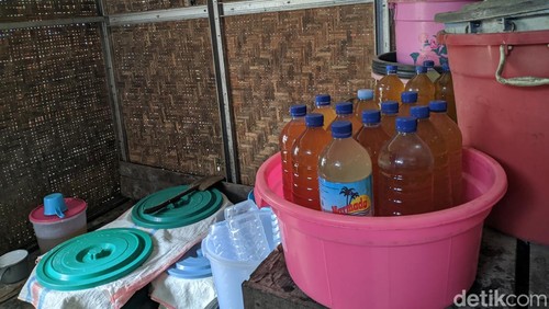 Penampakan pembuatan minuman tradisional brem di Desa Karang Bajo, Kecamatan Bayan, Lombok Utara. (Ahmad Viqi/detikBali).