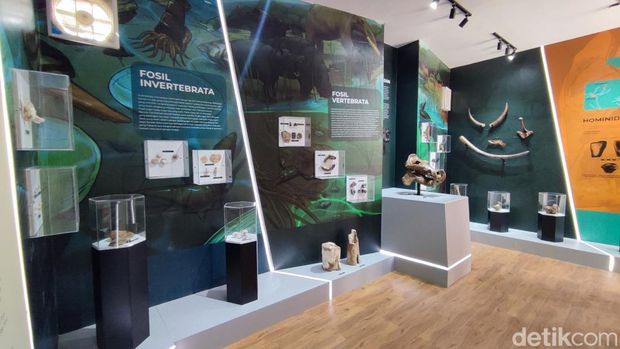 Pengunjung sedang mengunjungi Museum Fosil Tambaksari Ciamis yang baru ditata dan dikembangkan.