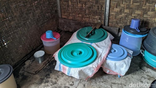 Proses Pembuatan Brem, minuman tradisional khas Bayan, Lombok Utara. (Ahmad Viqi/detikBali)