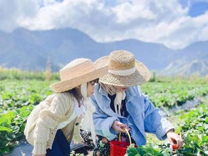 Itinerary Seharian di Desa Wisata Sembalun Lombok, Bisa ke Mana Aja?