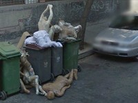 Google Street View berhasil memotret beberapa gambar misterius yang cukup membuat orang yang melihatnya merinding. Berikut daftarnya.