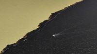 Rio Negro sendiri sungai hitam terbesar di dunia. Warna airnya berasal dari tumbuhan rawa dan hutan yang mengalami proses pembusukan. Air sungai seperti ini memiliki tingkat keasaman yang tinggi dan sedikit endapan.