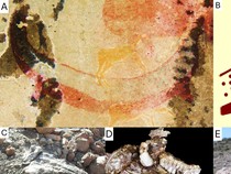 Gambar Cadas Ini Diduga Rekam Rupa Hewan yang Telah Punah