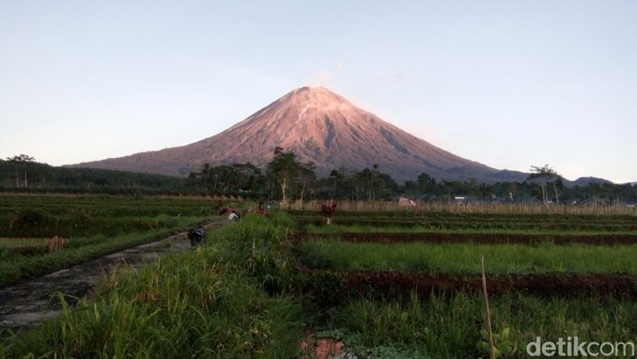 Gunung Semeru erupsi pagi ini, Minggu (22/9/2024).