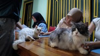 Selain sebagai ajang silaturahmi bagi para pecinta kucing, acara tersebut juga menjadi sarana edukasi bagi masyarakat agar lebih peduli terhadap keberadaan kucing difabel dan terlantar di sekitarnya.