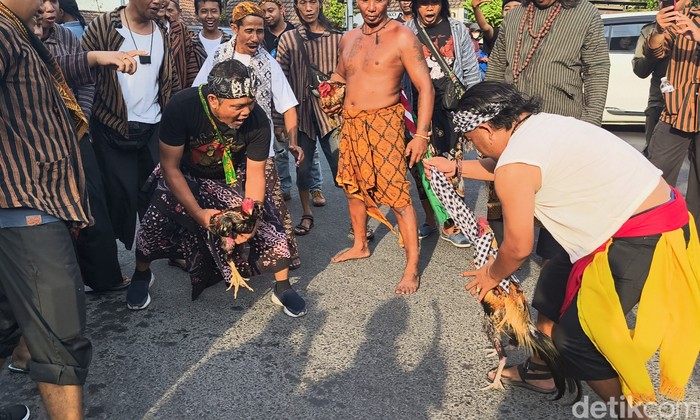 sabung ayam sawunggaling