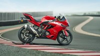 Apache RR 310 teranyar terinspirasi dari prestasi TVS Racing di Asia Road Racing Championship (ARRC). Apache RR 310 terbaru memiliki peningkatan performa dengan tenaga 38 PS dari mesin DOHC. Foto: Motoroids