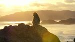 Bukit Merese Salah Satu Spot Sunset Paling Indah di Lombok