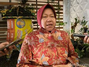 Janji Risma Hendak Bangun Jalan Baru di Pantura Jika Jadi Gubernur Jatim