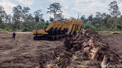 Cetak Sawah di Merauke demi Kejar Swasembada Pangan