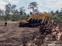 Cetak Sawah di Merauke demi Kejar Swasembada Pangan