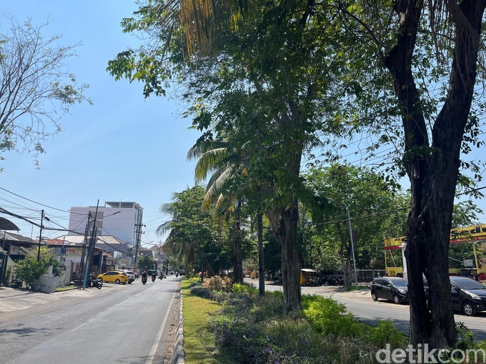 Cuaca cerah berawan surabaya