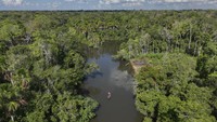 Sungai Amazon dikenal luas karena keunikan dan pesonanya yang luar biasa. Dengan ekosistem yang kaya, sungai ini dihuni oleh berbagai flora dan fauna, termasuk spesies predator seperti anaconda dan ikan piranha. (AP Photo/Andre Penner)  