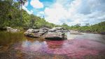 Dari Pelangi hingga Dua Warna, Ini Potret 5 Sungai Terunik di Dunia