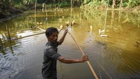 Seorang warga membetulkan pipa yang berada di kolam kawasan jalan AW Syahrani, gang Pandan Mekar Dalam, RT 34, Kelurahan Air Hitam, Kecamatan Samarinda Ulu, Samarinda, Kalimantan Timur, Senin (23/9/2024).