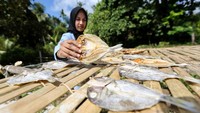 Selain itu, penduduk lokal juga aktif dalam produksi ikan asin.