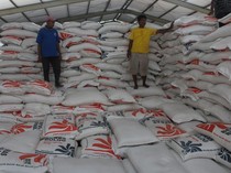 Serapan Gabah di NTB Menurun 36 Persen, Bulog Klaim Stok Beras Aman
