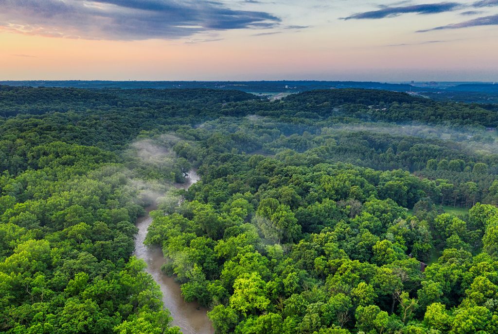 Hutan Amazon