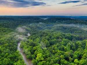 5 Fakta Hutan Amazon yang Ramai Diberi Rating Bintang 1 oleh Netizen RI
