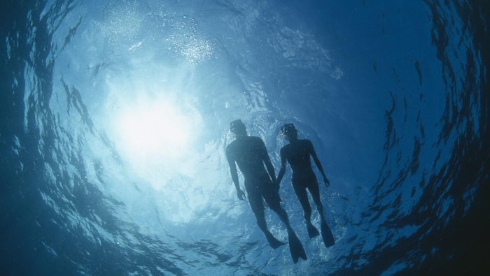 Ilustrasi wisatawan snorkeling di laut