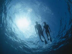 Kenapa Laut Asin Tapi Sungai Tidak? Ini Penjelasannya