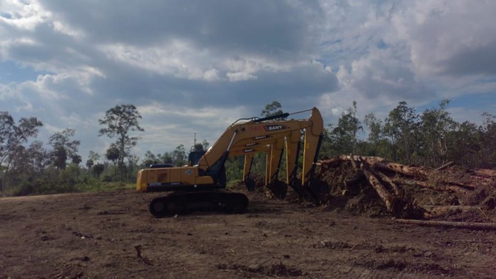 Lahan di Merauke yang disiapkan jadi lokasi program Cetak Sawah