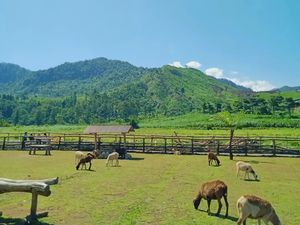 10 Tempat Wisata Purwokerto Terbaru yang Lagi Hits, Asik dan Instagramable!