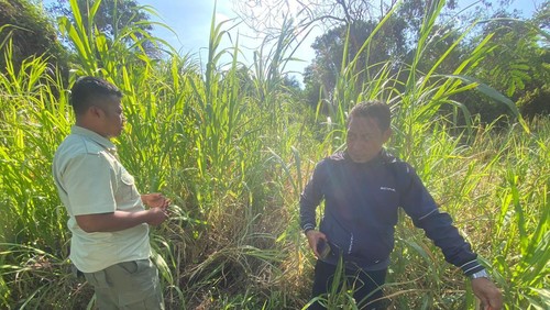 Polisi olah TKP pawang diserang gajah di Lembaga Konservasi Satwa, Gianyar. (Dok. Polres Gianyar)