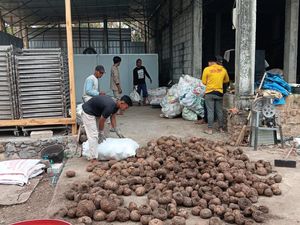 IKM Agrasi Jawaban Petani di Jatim untuk Harga Porang yang Stabil