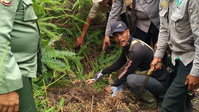 Potongan kaki Karim ditemukan oleh tim gabungan di Lampung Barat.
