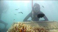 di bawah laut