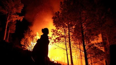 Belasan Ribu Hektar Hutan dan Lahan di Cordoba Hangus Dilalap Api