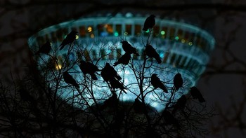 Peraih Silver kategori Urban Birds diraih Tomáš Grim dari Republik Ceko. Dia mengabadikan siluet gagak berlatar belakang menara televisi Berlin Foto: Bird Photographer of the Year