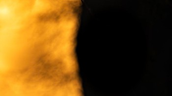 Peraih emas di kategori Birds in Flight diraih Hermis Haridas dari India. Dia mengabadikan seekor hoopoe eruresia terbang di Dubai. Foto: Bird Photographer of the Year