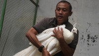 Menurut peternak sekitar 25 ekor anakan merak putih yang dihasilkan setiap tahun dan dijual ke sejumlah penggemar merak di berbagai kota di Indonesia sebagai hewan peliharaan.  
